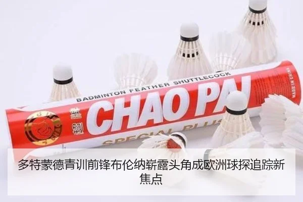 多特蒙德青训前锋布伦纳崭露头角成欧洲球探追踪新焦点
