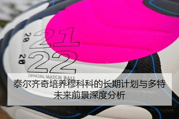 泰尔齐奇培养穆科科的长期计划与多特未来前景深度分析